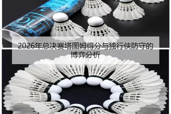 2026年总决赛塔图姆得分与独行侠防守的博弈分析